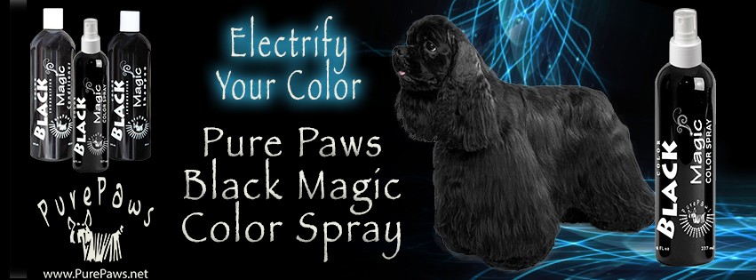 Black Colr Spray Dog Banner
