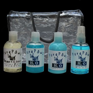 H2O Travel Kit (Courier Shipping ONLY)